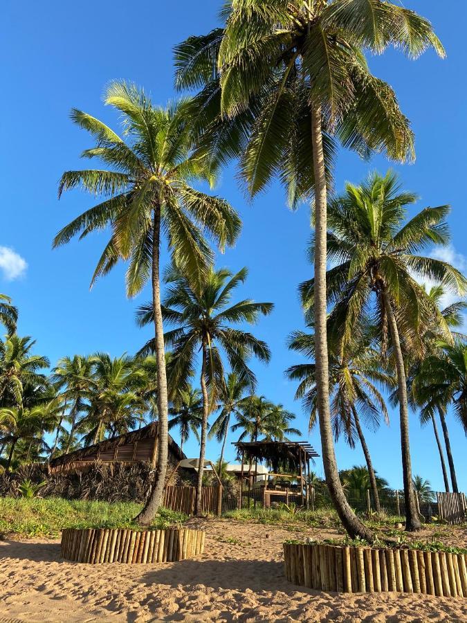 Bahia Surf Camp Hotel Abrantes Bagian luar foto
