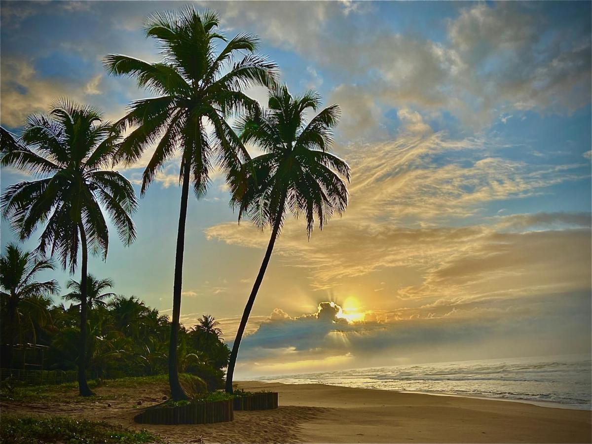 Bahia Surf Camp Hotel Abrantes Bagian luar foto