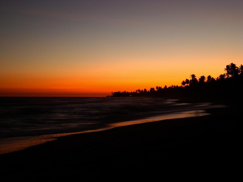 Bahia Surf Camp Hotel Abrantes Bagian luar foto