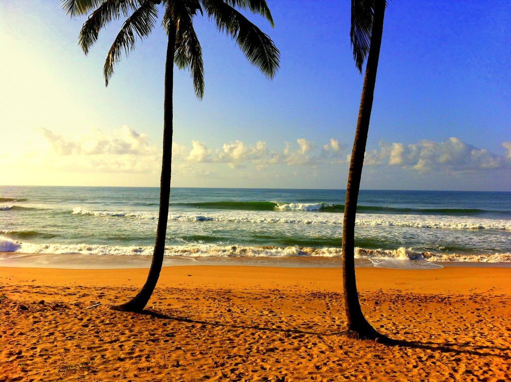 Bahia Surf Camp Hotel Abrantes Bagian luar foto